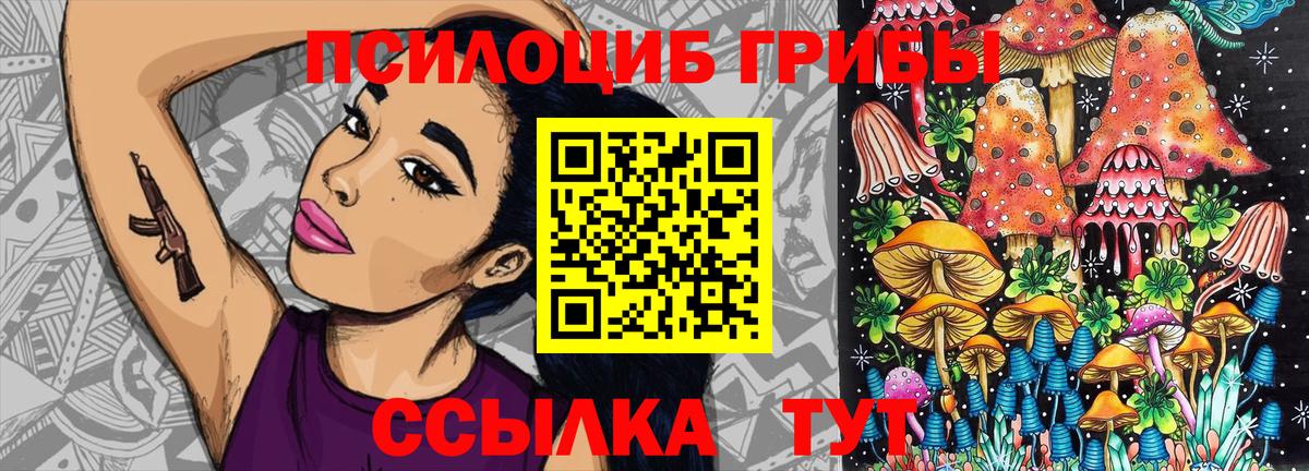 цены наркотик  Псилоцибиновые грибы Magic Shrooms  Вход с VPN  Симферополь  Псилоцибиновые грибы ЛСД 